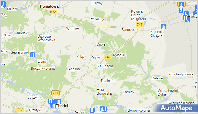 mapa Malinowszczyzna gmina Bełżyce, Malinowszczyzna gmina Bełżyce na mapie Targeo