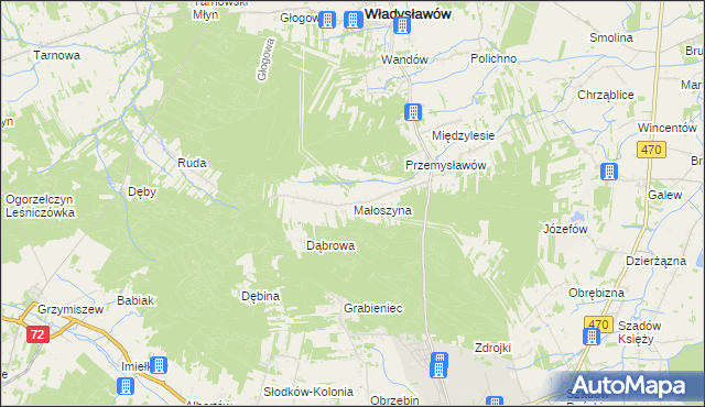 mapa Małoszyna, Małoszyna na mapie Targeo