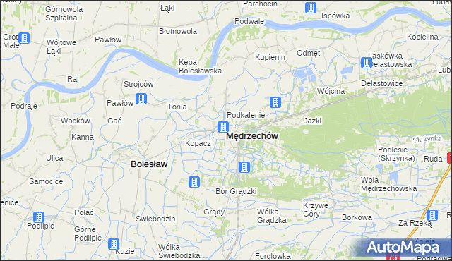 mapa Mędrzechów, Mędrzechów na mapie Targeo