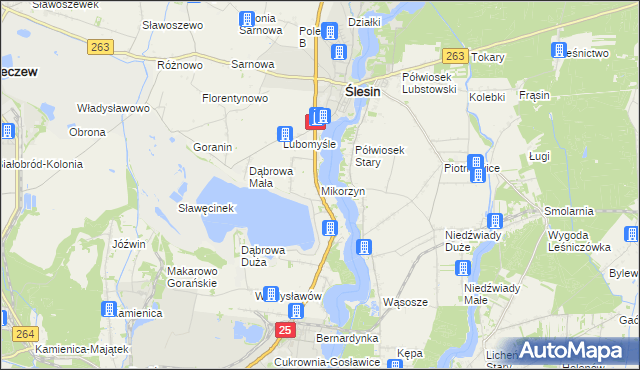 mapa Mikorzyn gmina Ślesin, Mikorzyn gmina Ślesin na mapie Targeo