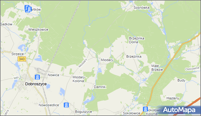 mapa Miodary gmina Dobroszyce, Miodary gmina Dobroszyce na mapie Targeo