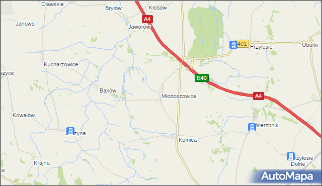 mapa Młodoszowice, Młodoszowice na mapie Targeo