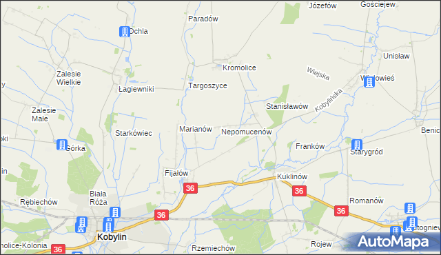 mapa Nepomucenów gmina Kobylin, Nepomucenów gmina Kobylin na mapie Targeo