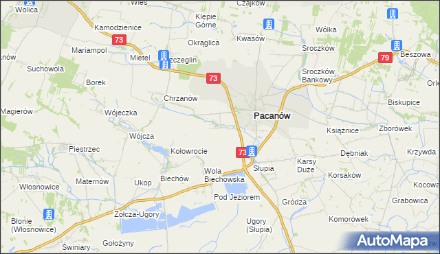 mapa Niegosławice gmina Pacanów, Niegosławice gmina Pacanów na mapie Targeo