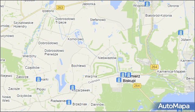 mapa Nieświastów, Nieświastów na mapie Targeo