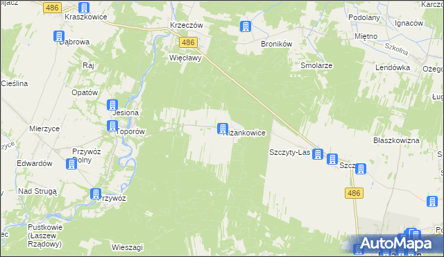 mapa Niżankowice, Niżankowice na mapie Targeo