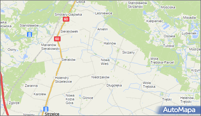 mapa Nowa Wieś gmina Gostynin, Nowa Wieś gmina Gostynin na mapie Targeo