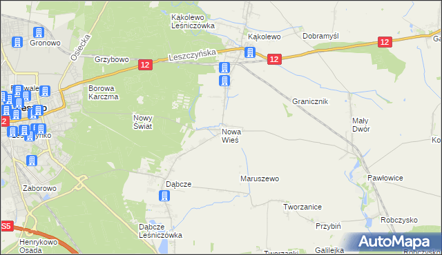 mapa Nowa Wieś gmina Rydzyna, Nowa Wieś gmina Rydzyna na mapie Targeo