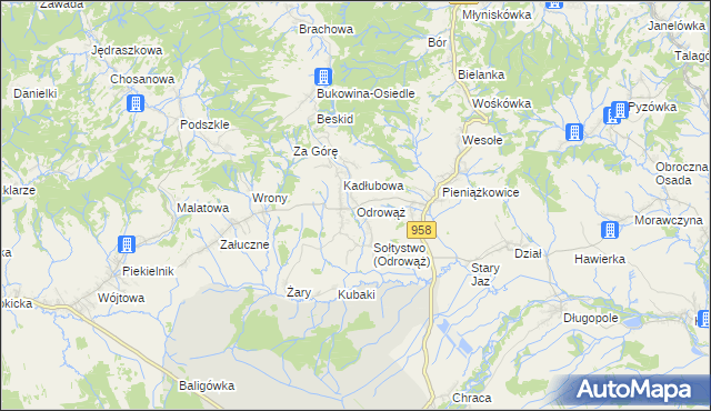 mapa Odrowąż gmina Czarny Dunajec, Odrowąż gmina Czarny Dunajec na mapie Targeo