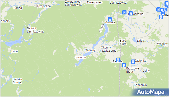 mapa Okoniny gmina Śliwice, Okoniny gmina Śliwice na mapie Targeo