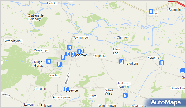 mapa Oleśnica gmina Zagórów, Oleśnica gmina Zagórów na mapie Targeo