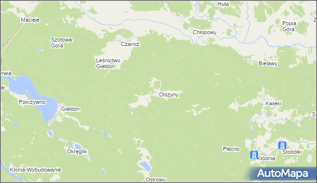 mapa Olszyny gmina Czersk, Olszyny gmina Czersk na mapie Targeo