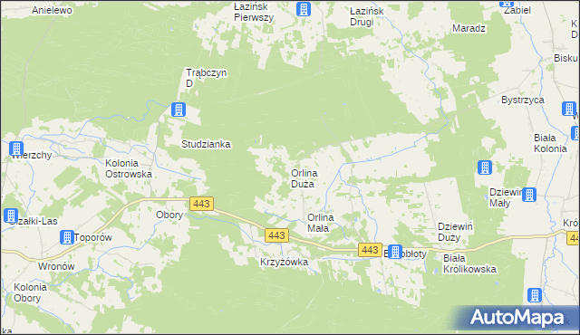 mapa Orlina Duża, Orlina Duża na mapie Targeo