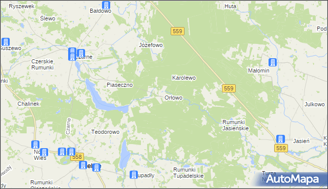 mapa Orłowo gmina Wielgie, Orłowo gmina Wielgie na mapie Targeo