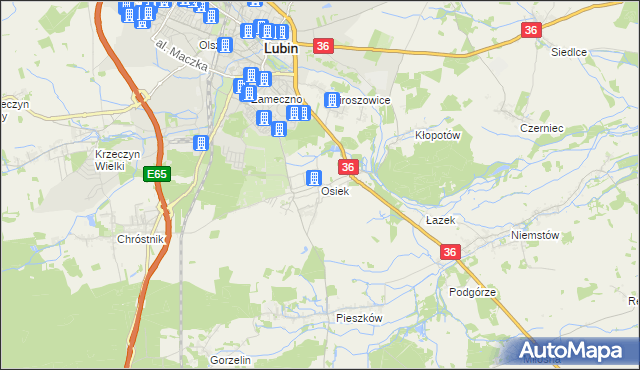 mapa Osiek gmina Lubin, Osiek gmina Lubin na mapie Targeo