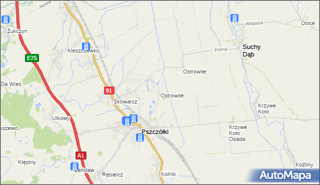 mapa Ostrowite gmina Pszczółki, Ostrowite gmina Pszczółki na mapie Targeo