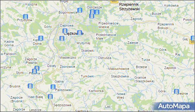 mapa Ostrusza, Ostrusza na mapie Targeo