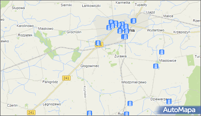 mapa Palmierowo, Palmierowo na mapie Targeo