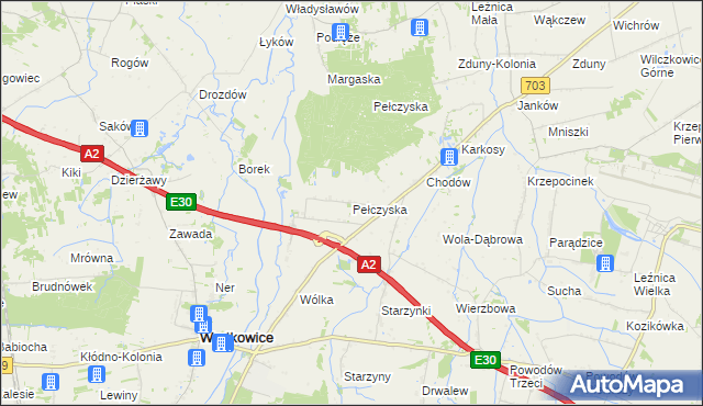 mapa Pełczyska gmina Wartkowice, Pełczyska gmina Wartkowice na mapie Targeo