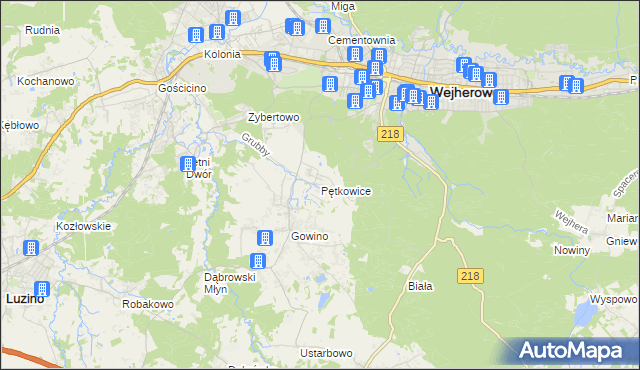 mapa Pętkowice gmina Wejherowo, Pętkowice gmina Wejherowo na mapie Targeo