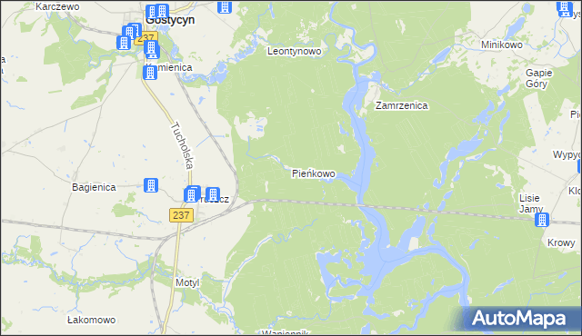 mapa Pieńkowo gmina Gostycyn, Pieńkowo gmina Gostycyn na mapie Targeo