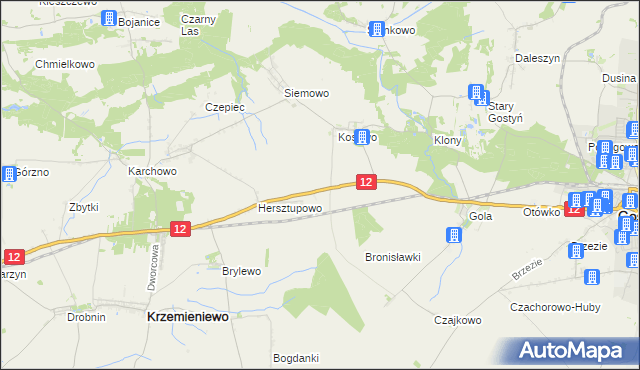 mapa Płaczkowo gmina Gostyń, Płaczkowo gmina Gostyń na mapie Targeo