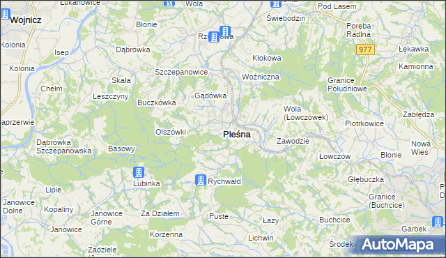 mapa Pleśna powiat tarnowski, Pleśna powiat tarnowski na mapie Targeo
