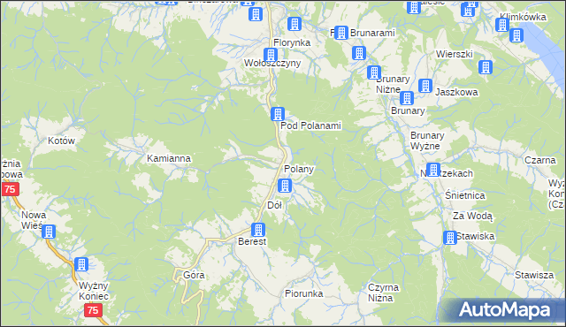 mapa Polany gmina Krynica-Zdrój, Polany gmina Krynica-Zdrój na mapie Targeo