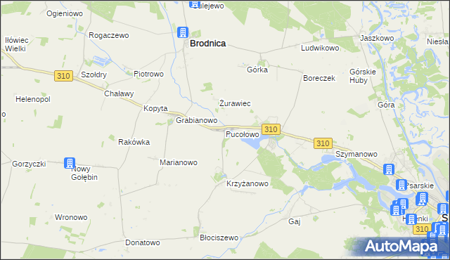 mapa Pucołowo, Pucołowo na mapie Targeo