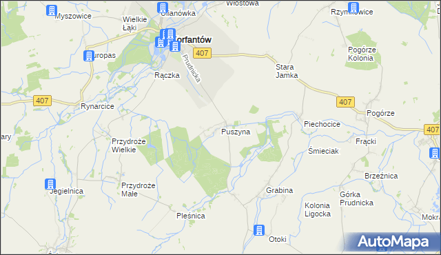 mapa Puszyna, Puszyna na mapie Targeo