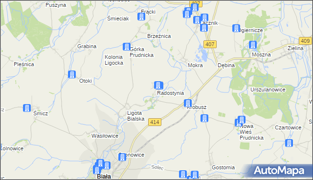 mapa Radostynia, Radostynia na mapie Targeo