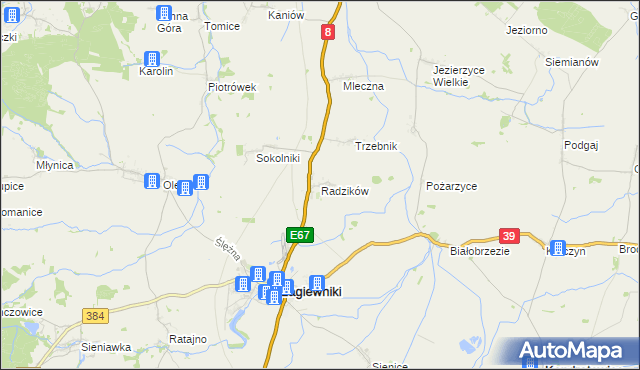 mapa Radzików gmina Łagiewniki, Radzików gmina Łagiewniki na mapie Targeo