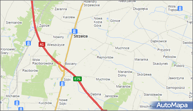 mapa Rejmontów, Rejmontów na mapie Targeo