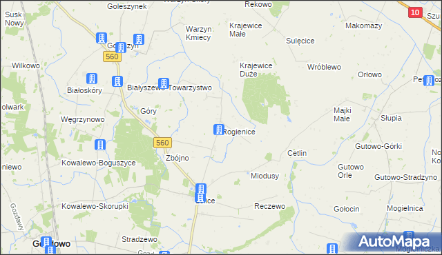 mapa Rogienice gmina Gozdowo, Rogienice gmina Gozdowo na mapie Targeo