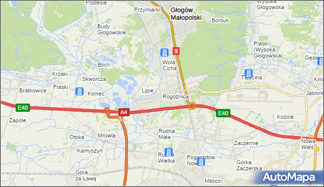 mapa Rogoźnica gmina Głogów Małopolski, Rogoźnica gmina Głogów Małopolski na mapie Targeo