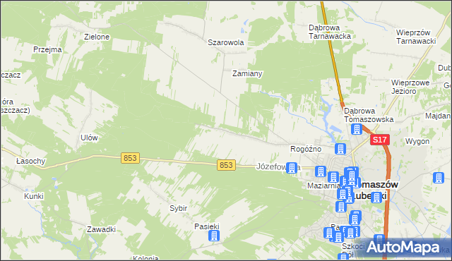 mapa Rogóźno-Kolonia, Rogóźno-Kolonia na mapie Targeo