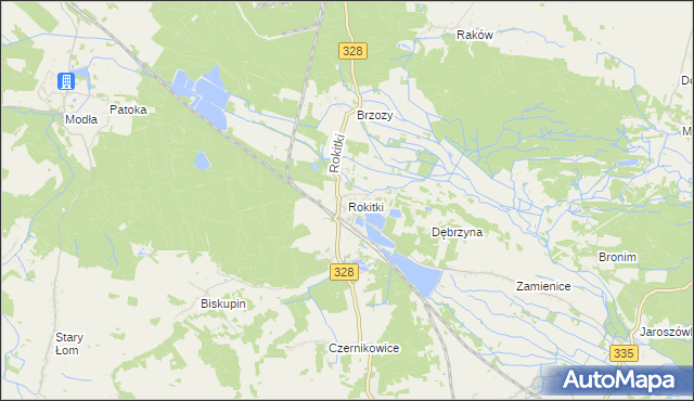 mapa Rokitki gmina Chojnów, Rokitki gmina Chojnów na mapie Targeo