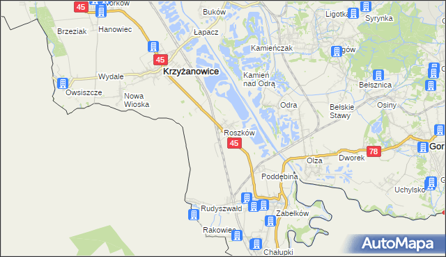 mapa Roszków gmina Krzyżanowice, Roszków gmina Krzyżanowice na mapie Targeo