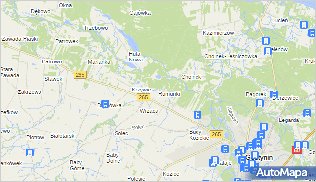 mapa Rumunki gmina Gostynin, Rumunki gmina Gostynin na mapie Targeo