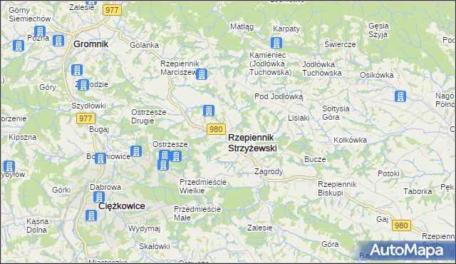 mapa Rzepiennik Strzyżewski, Rzepiennik Strzyżewski na mapie Targeo