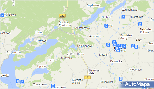 mapa Salamonowo, Salamonowo na mapie Targeo