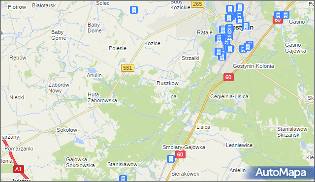 mapa Sałki gmina Gostynin, Sałki gmina Gostynin na mapie Targeo