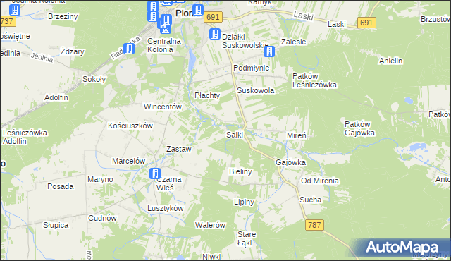 mapa Sałki gmina Pionki, Sałki gmina Pionki na mapie Targeo