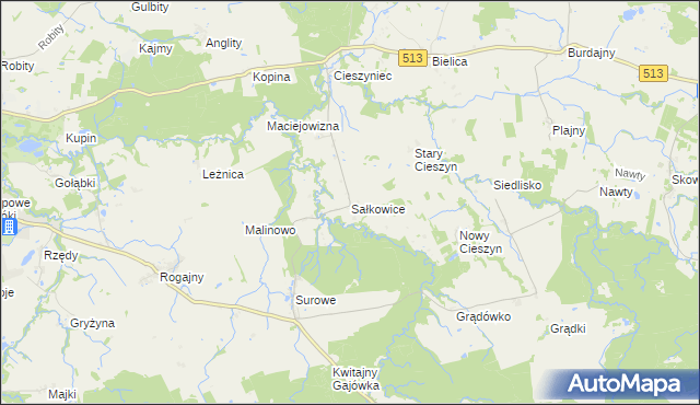 mapa Sałkowice, Sałkowice na mapie Targeo