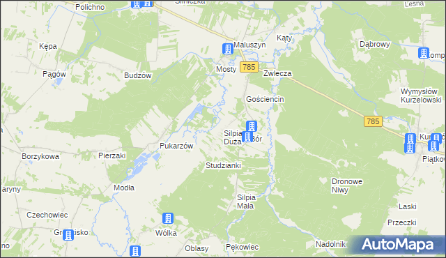 mapa Silpia Duża, Silpia Duża na mapie Targeo