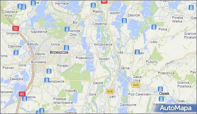 mapa Skidziń, Skidziń na mapie Targeo