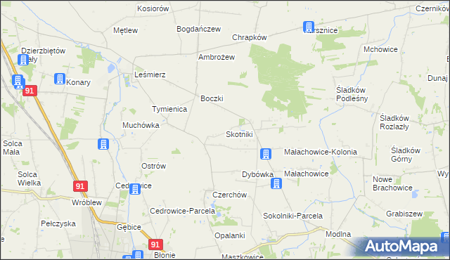 mapa Skotniki gmina Ozorków, Skotniki gmina Ozorków na mapie Targeo