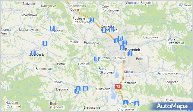 mapa Skurowa, Skurowa na mapie Targeo