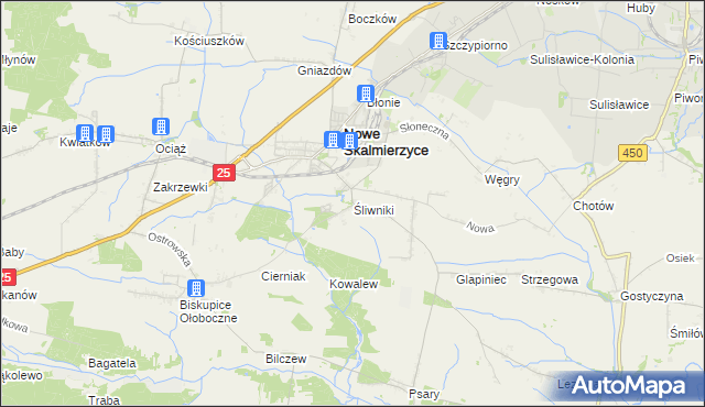 mapa Śliwniki gmina Nowe Skalmierzyce, Śliwniki gmina Nowe Skalmierzyce na mapie Targeo