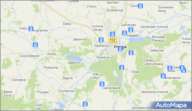 mapa Słowików gmina Przytyk, Słowików gmina Przytyk na mapie Targeo